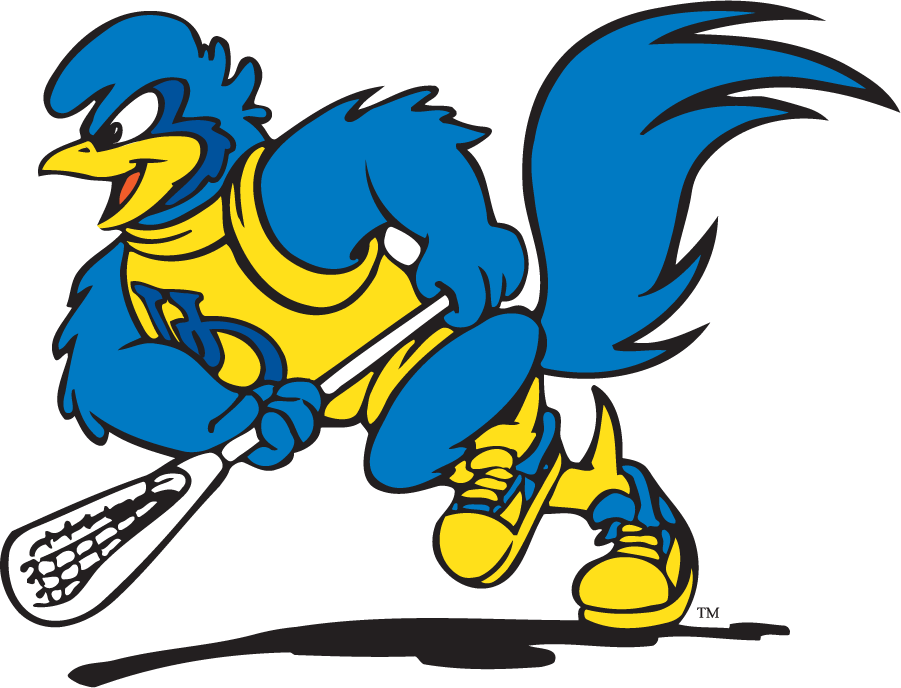 Delaware Blue Hens 1999-2009 Mascot Logo v2 DIY iron on transfer (heat transfer)